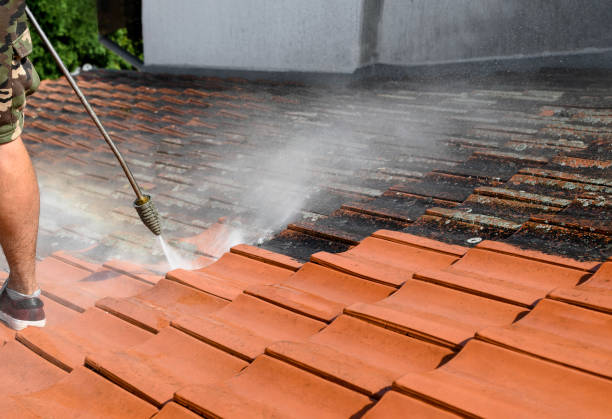 Best Exterior Home Cleaning  in Warrenvle, IL