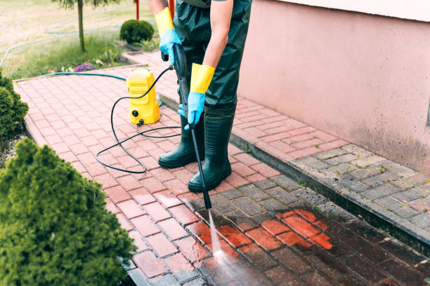 Best Roof Pressure Washing  in Warrenvle, IL