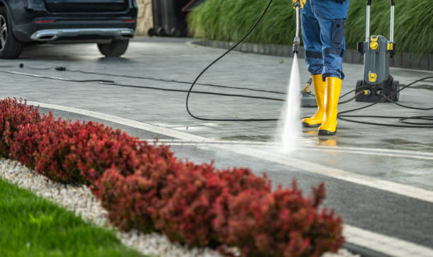 Best Best Pressure Washing Companies  in Warrenvle, IL